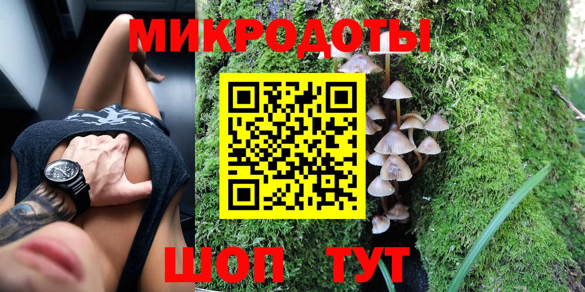 Галлюциногенные грибы Psilocybine cubensis  Вход с VPN  Заинск  Галлюциногенные грибы мицелий 