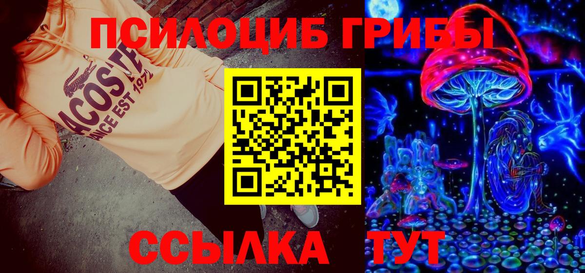 Псилоцибиновые грибы Cubensis Заинск